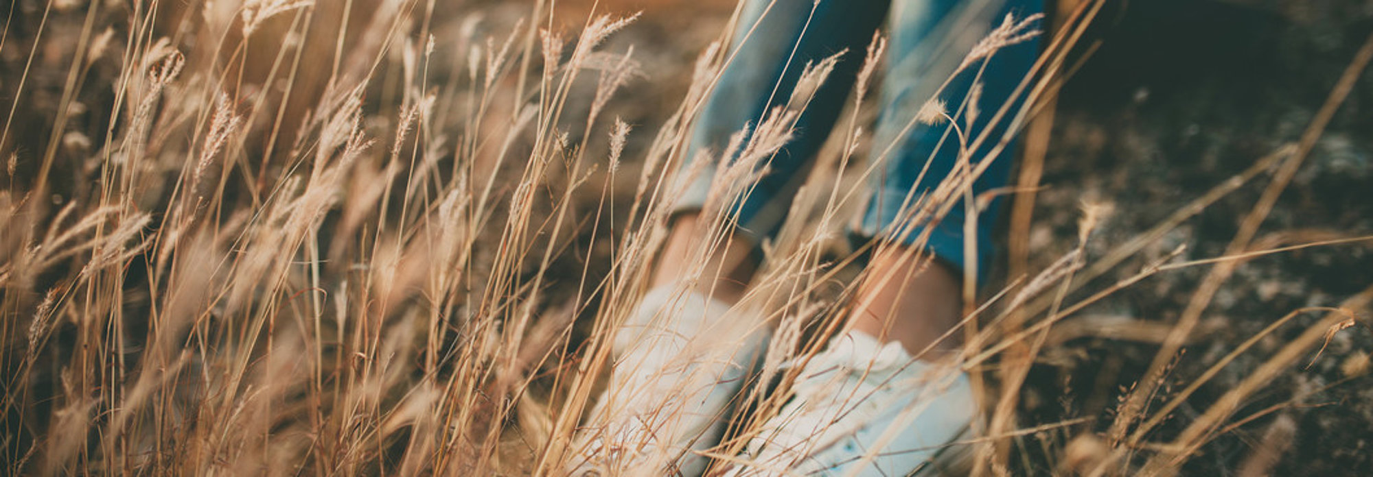 Bild der Frauenselbsthilfe Krebs